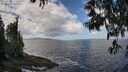 ./images/koeye/fitz-hugh/20250529/fitz-hugh20250529_115510M.jpg