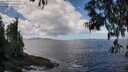./images/koeye/fitz-hugh/20250529/fitz-hugh20250529_120012M.jpg
