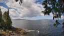 ./images/koeye/fitz-hugh/20250529/fitz-hugh20250529_120508M.jpg