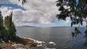 ./images/koeye/fitz-hugh/20250529/fitz-hugh20250529_121511M.jpg