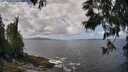 ./images/koeye/fitz-hugh/20250529/fitz-hugh20250529_122008M.jpg