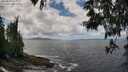 ./images/koeye/fitz-hugh/20250529/fitz-hugh20250529_122509M.jpg