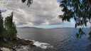 ./images/koeye/fitz-hugh/20250529/fitz-hugh20250529_124509M.jpg