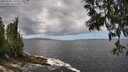 ./images/koeye/fitz-hugh/20250529/fitz-hugh20250529_130509M.jpg