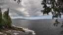 ./images/koeye/fitz-hugh/20250529/fitz-hugh20250529_131509M.jpg