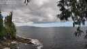 ./images/koeye/fitz-hugh/20250529/fitz-hugh20250529_132508M.jpg