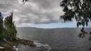 ./images/koeye/fitz-hugh/20250529/fitz-hugh20250529_133510M.jpg