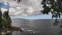 ./images/koeye/fitz-hugh/20250529/fitz-hugh20250529_135509M.jpg