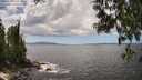 ./images/koeye/fitz-hugh/20250529/fitz-hugh20250529_140509M.jpg