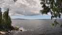 ./images/koeye/fitz-hugh/20250529/fitz-hugh20250529_141510M.jpg
