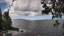 ./images/koeye/fitz-hugh/20250529/fitz-hugh20250529_142510M.jpg