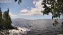 ./images/koeye/fitz-hugh/20250529/fitz-hugh20250529_144010M.jpg