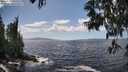./images/koeye/fitz-hugh/20250529/fitz-hugh20250529_144510M.jpg