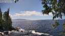 ./images/koeye/fitz-hugh/20250529/fitz-hugh20250529_145011M.jpg