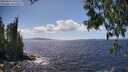 ./images/koeye/fitz-hugh/20250529/fitz-hugh20250529_150510M.jpg