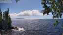 ./images/koeye/fitz-hugh/20250529/fitz-hugh20250529_151510M.jpg