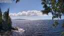 ./images/koeye/fitz-hugh/20250529/fitz-hugh20250529_152510M.jpg