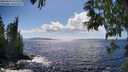 ./images/koeye/fitz-hugh/20250529/fitz-hugh20250529_155507M.jpg