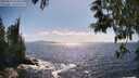 ./images/koeye/fitz-hugh/20250529/fitz-hugh20250529_163011M.jpg