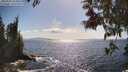 ./images/koeye/fitz-hugh/20250529/fitz-hugh20250529_164011M.jpg