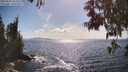 ./images/koeye/fitz-hugh/20250529/fitz-hugh20250529_164510M.jpg