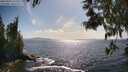 ./images/koeye/fitz-hugh/20250529/fitz-hugh20250529_165010M.jpg