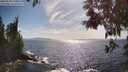 ./images/koeye/fitz-hugh/20250529/fitz-hugh20250529_170011M.jpg