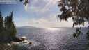 ./images/koeye/fitz-hugh/20250529/fitz-hugh20250529_170510M.jpg