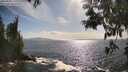 ./images/koeye/fitz-hugh/20250529/fitz-hugh20250529_172510M.jpg