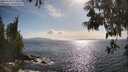 ./images/koeye/fitz-hugh/20250529/fitz-hugh20250529_173011M.jpg