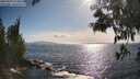 ./images/koeye/fitz-hugh/20250529/fitz-hugh20250529_174010M.jpg