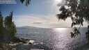 ./images/koeye/fitz-hugh/20250529/fitz-hugh20250529_175009M.jpg