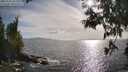 ./images/koeye/fitz-hugh/20250529/fitz-hugh20250529_181011M.jpg
