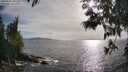 ./images/koeye/fitz-hugh/20250529/fitz-hugh20250529_181511M.jpg