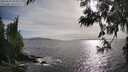 ./images/koeye/fitz-hugh/20250529/fitz-hugh20250529_182009M.jpg