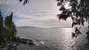 ./images/koeye/fitz-hugh/20250529/fitz-hugh20250529_183510M.jpg