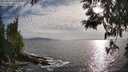 ./images/koeye/fitz-hugh/20250529/fitz-hugh20250529_184510M.jpg