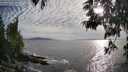 ./images/koeye/fitz-hugh/20250529/fitz-hugh20250529_185010M.jpg