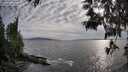 ./images/koeye/fitz-hugh/20250529/fitz-hugh20250529_185510M.jpg
