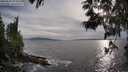 ./images/koeye/fitz-hugh/20250529/fitz-hugh20250529_191009M.jpg