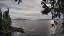 ./images/koeye/fitz-hugh/20250529/fitz-hugh20250529_191506M.jpg