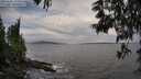 ./images/koeye/fitz-hugh/20250529/fitz-hugh20250529_192007M.jpg