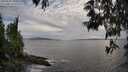 ./images/koeye/fitz-hugh/20250529/fitz-hugh20250529_192509M.jpg