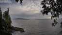 ./images/koeye/fitz-hugh/20250529/fitz-hugh20250529_194009M.jpg