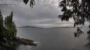 ./images/koeye/fitz-hugh/20250529/fitz-hugh20250529_195507M.jpg