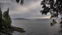 ./images/koeye/fitz-hugh/20250529/fitz-hugh20250529_200509M.jpg