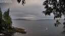 ./images/koeye/fitz-hugh/20250529/fitz-hugh20250529_204509M.jpg