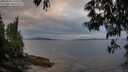 ./images/koeye/fitz-hugh/20250529/fitz-hugh20250529_210508M.jpg