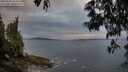 ./images/koeye/fitz-hugh/20250529/fitz-hugh20250529_211009M.jpg