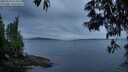 ./images/koeye/fitz-hugh/20250529/fitz-hugh20250529_214508M.jpg